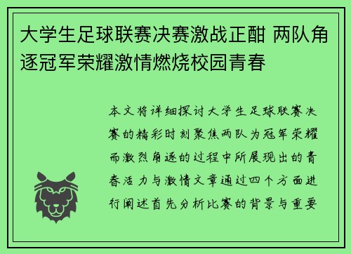 大学生足球联赛决赛激战正酣 两队角逐冠军荣耀激情燃烧校园青春